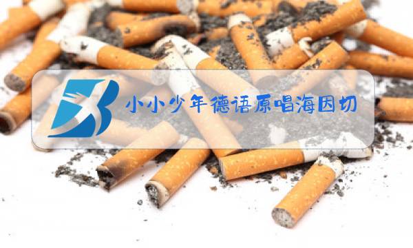 小小少年德语原唱海因切图片