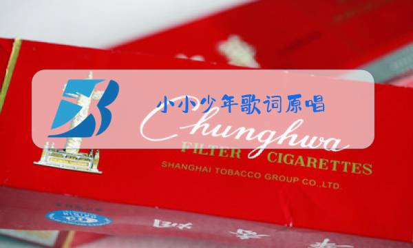 小小少年歌词原唱图片