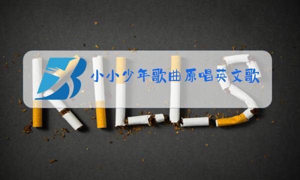 小小少年歌曲原唱英文歌词图片