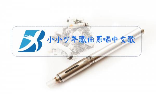 小小少年歌曲原唱中文歌手图片