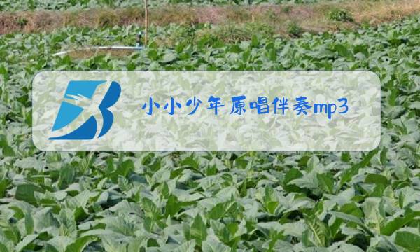 小小少年原唱伴奏mp3图片