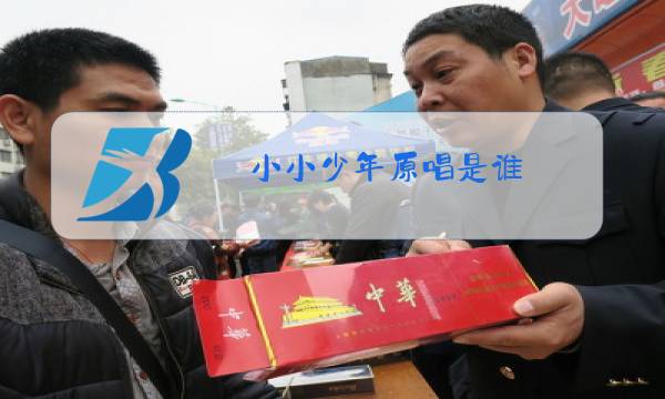 小小少年原唱是谁图片
