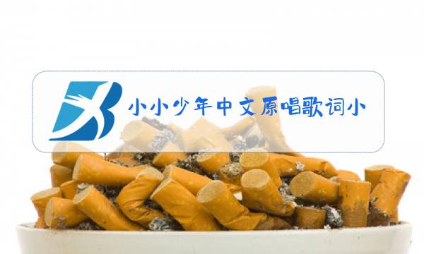 小小少年中文原唱歌词小学歌曲图片