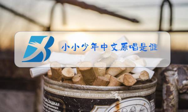 小小少年中文原唱是谁图片