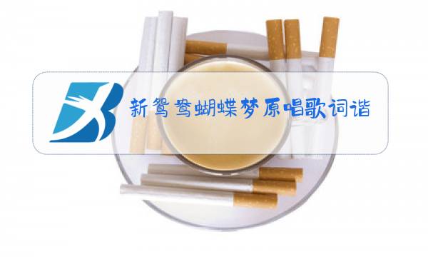 新鸳鸯蝴蝶梦原唱歌词谐音闽南语歌词唱图片