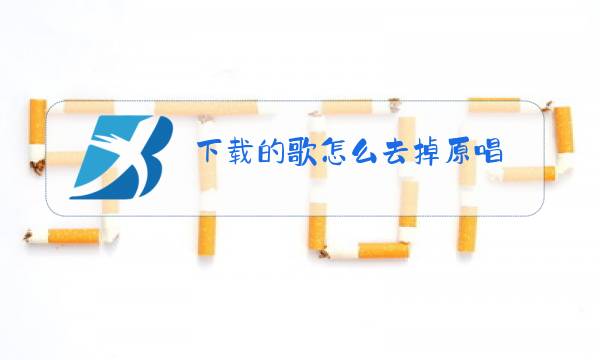 下载的歌怎么去掉原唱图片