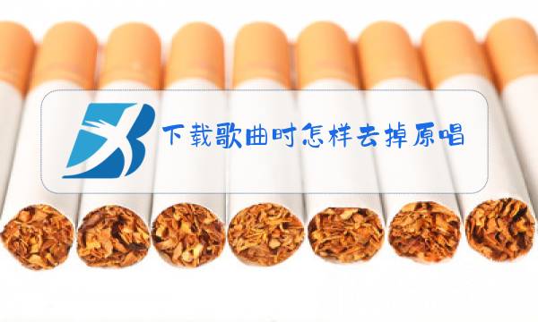 下载歌曲时怎样去掉原唱图片