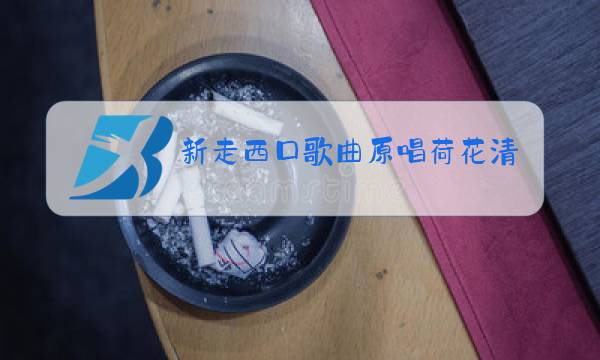 新走西口歌曲原唱荷花清音词图片