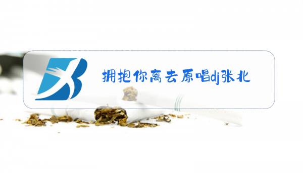 拥抱你离去原唱dj张北北免费下载图片