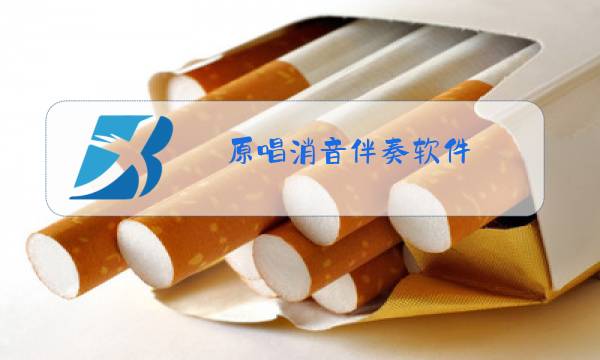 原唱消音伴奏软件图片
