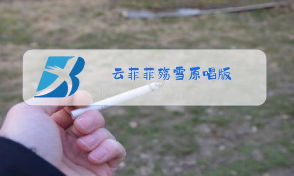 云菲菲殇雪原唱版图片