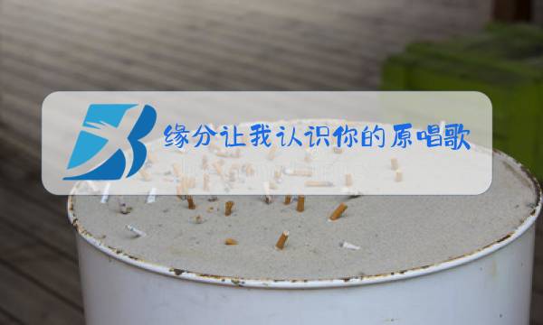 缘分让我认识你的原唱歌图片