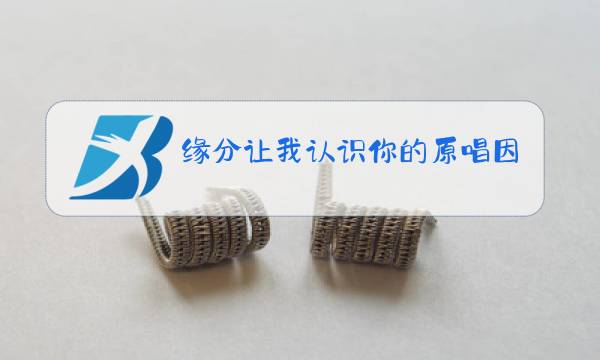 缘分让我认识你的原唱因为我们今生有缘图片