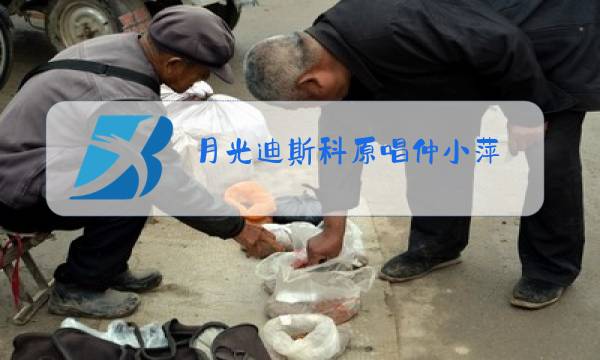 月光迪斯科原唱仲小萍图片