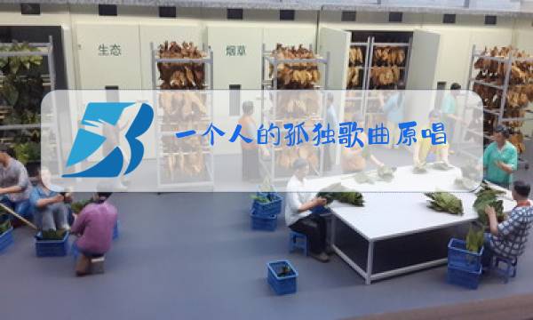 一个人的孤独歌曲原唱图片