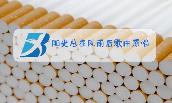 阳光总在风雨后歌曲原唱版许美静图片