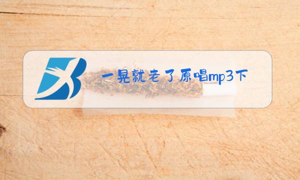 一晃就老了原唱mp3下载图片