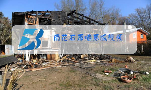 雨花石原唱原版视频图片