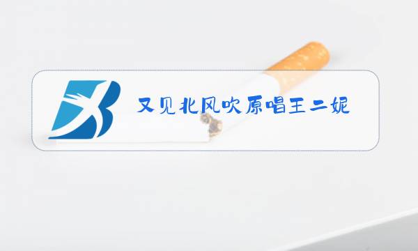 又见北风吹原唱王二妮图片
