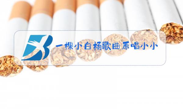一棵小白杨歌曲原唱小小沈阳在跨界歌王演唱会哟歌曲