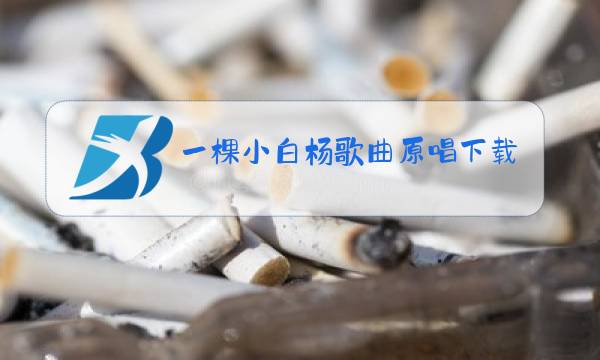 一棵小白杨歌曲原唱下载图片