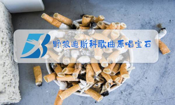 野狼迪斯科歌曲原唱宝石图片