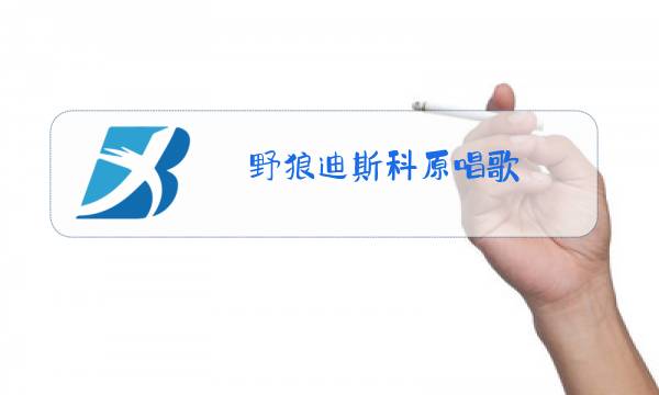 野狼迪斯科原唱歌图片