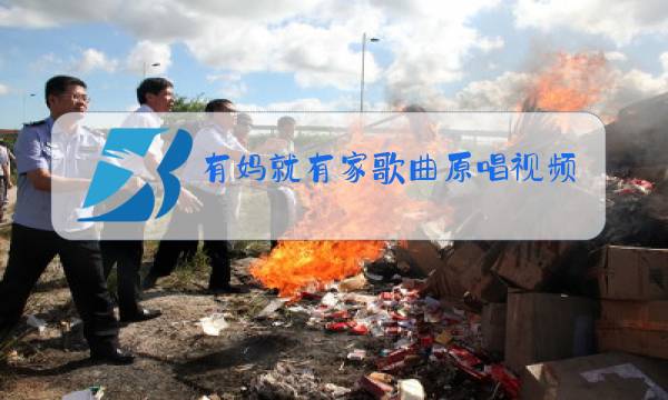 有妈就有家歌曲原唱视频图片