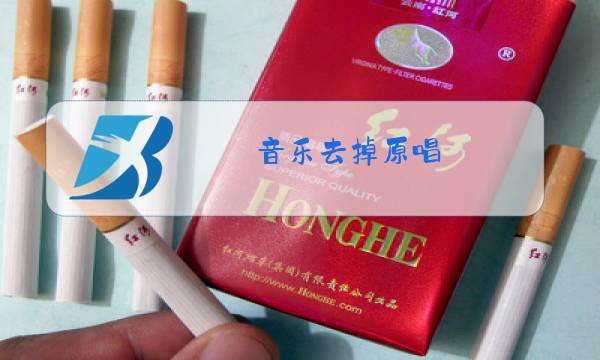 音乐去掉原唱图片