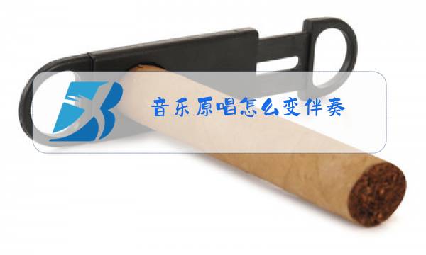 音乐原唱怎么变伴奏图片