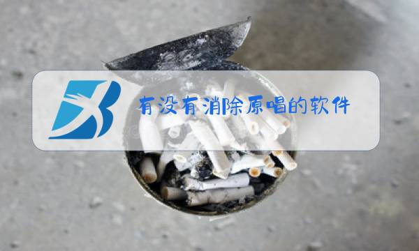 有没有消除原唱的软件图片