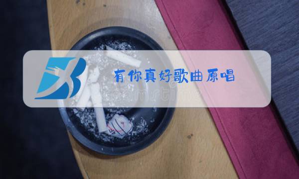 有你真好歌曲原唱图片