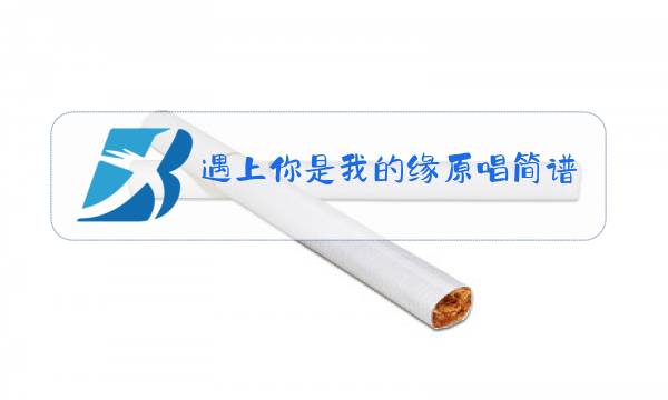 遇上你是我的缘原唱简谱图片