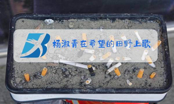 杨淑青在希望的田野上歌曲原唱图片