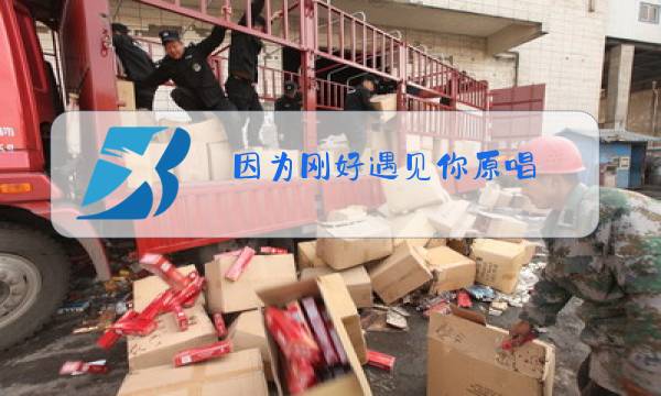 因为刚好遇见你原唱图片
