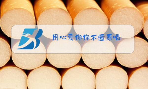用心爱你你不懂原唱图片