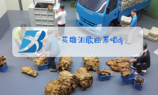 英雄泪歌曲原唱dj图片