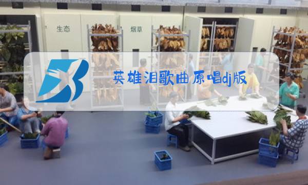 英雄泪歌曲原唱dj版图片