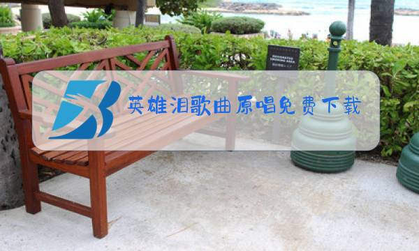 英雄泪歌曲原唱免费下载哪里有图片