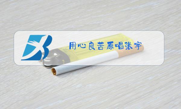 用心良苦原唱张宇图片