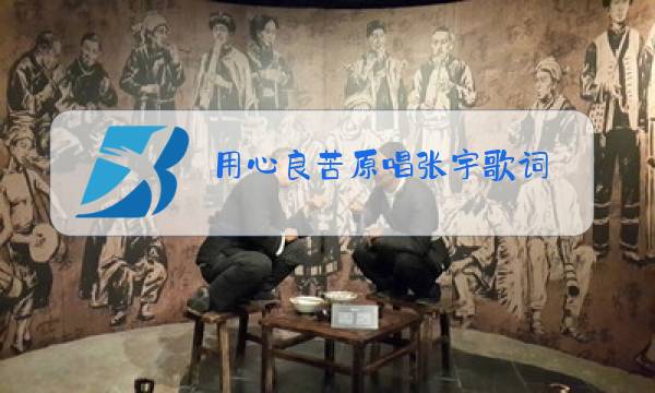 用心良苦原唱张宇歌词图片