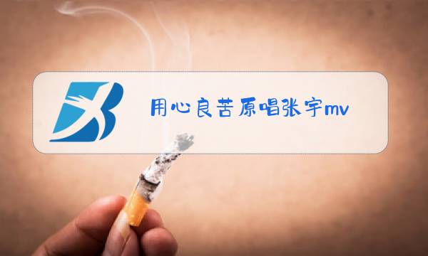 用心良苦原唱张宇mv图片