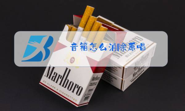 音箱怎么消除原唱图片
