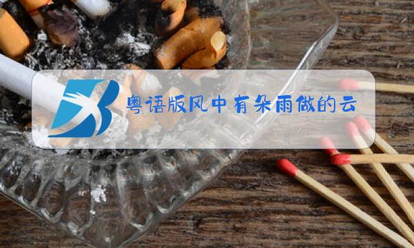 粤语版风中有朵雨做的云原唱图片