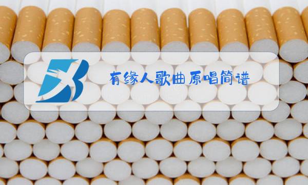 有缘人歌曲原唱简谱图片