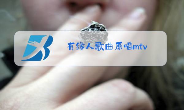 有缘人歌曲原唱mtv图片