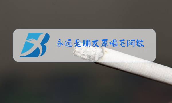 永远是朋友原唱毛阿敏图片