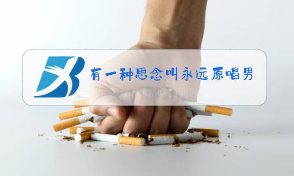 有一种思念叫永远原唱男版现场版图片