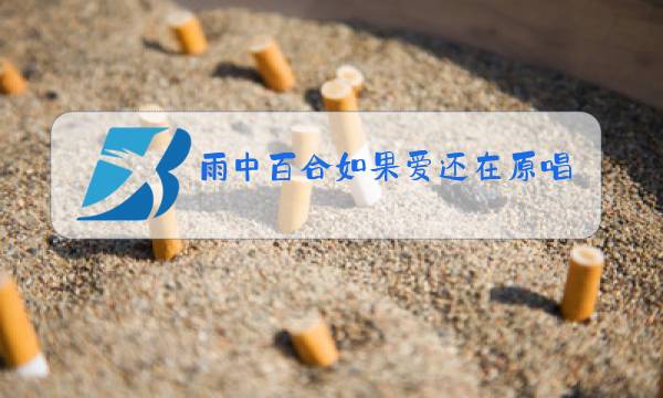 雨中百合如果爱还在原唱mp3图片