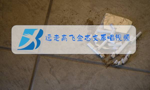 远走高飞金志文原唱视频图片